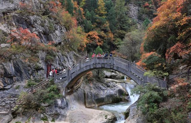 这才是秋天该有的样子~