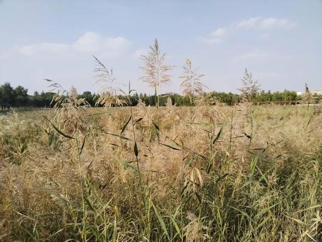 【白银文旅】国庆假期，一起去感受大自然的魅力!