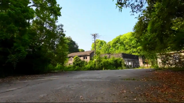 四川眉山令人惋惜的三线厂，青砖灰瓦绿树成荫，搬走多年满目荒芜