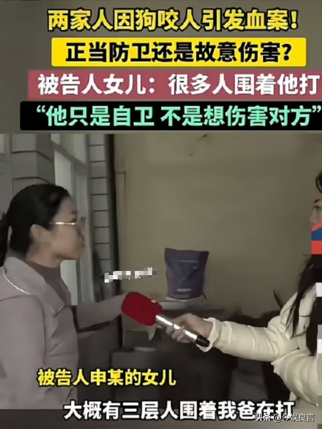 狗主人被反杀案开庭	，9人闯门打砸，妻子后悔冲动，更多细节披露