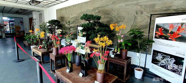 游西湖：杭州植物园之石蒜花展