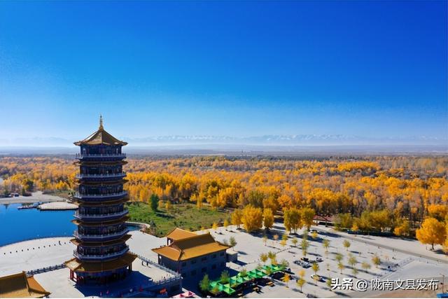 金秋，来甘肃看一次胡杨林吧！