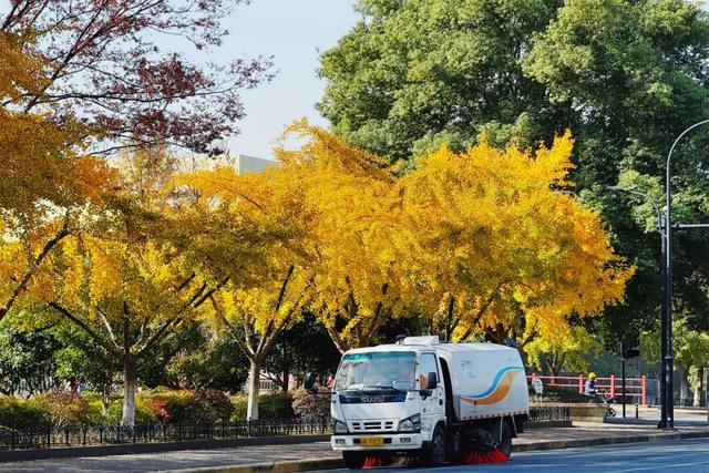 萧山街头又现新打卡地~这份初冬的浪漫将持续到年底