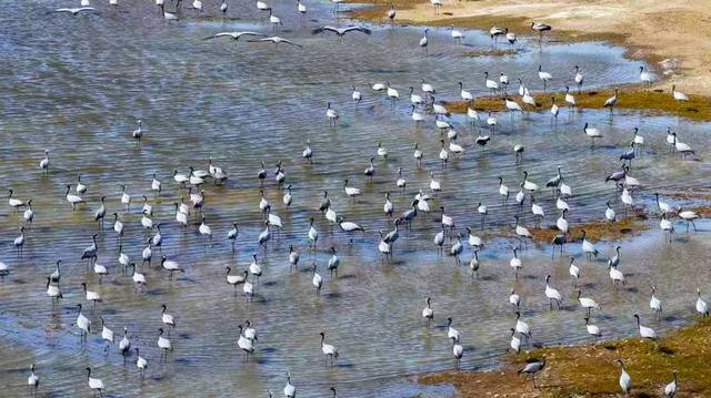 【漠南风】摄影专辑|行走达茂 定格风光掠影
