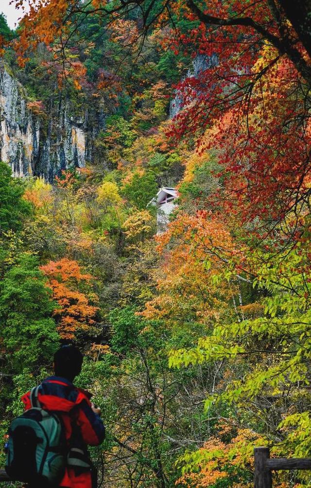 安康南宫山：五彩秋色惹人醉