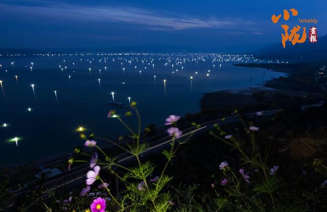 【小陇画报·429期】永靖秋韵：黄河之畔的诗意画卷