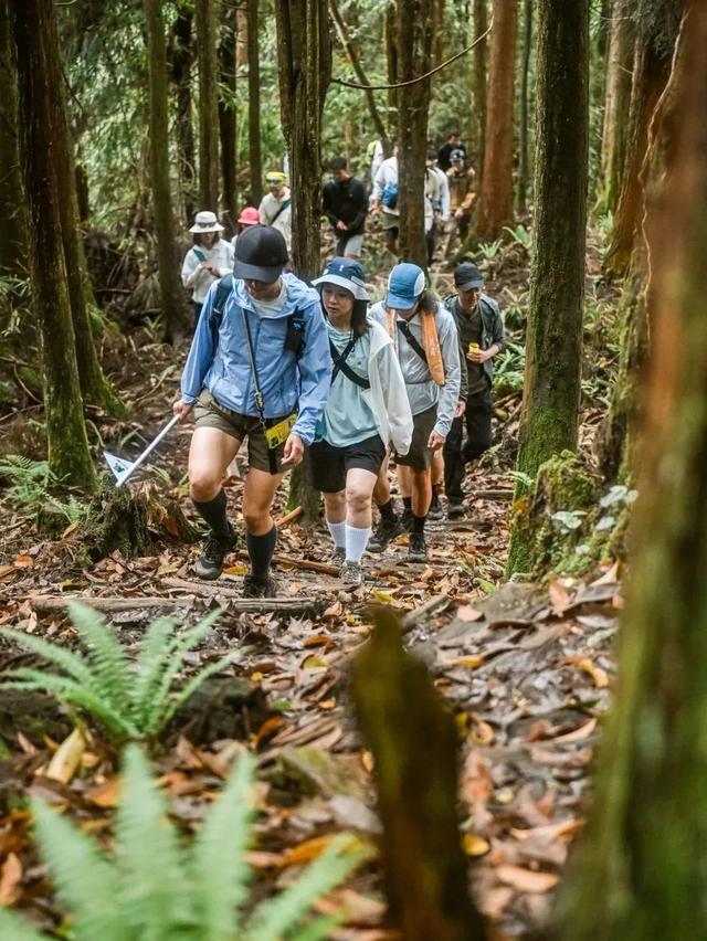 龙苍沟徒步大会2.0召集令！秋季限定玩法上线，进山采笋！还能得年卡大奖！