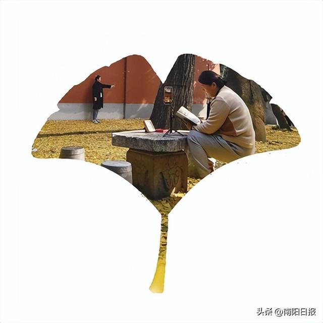 南阳金色之约，走起！