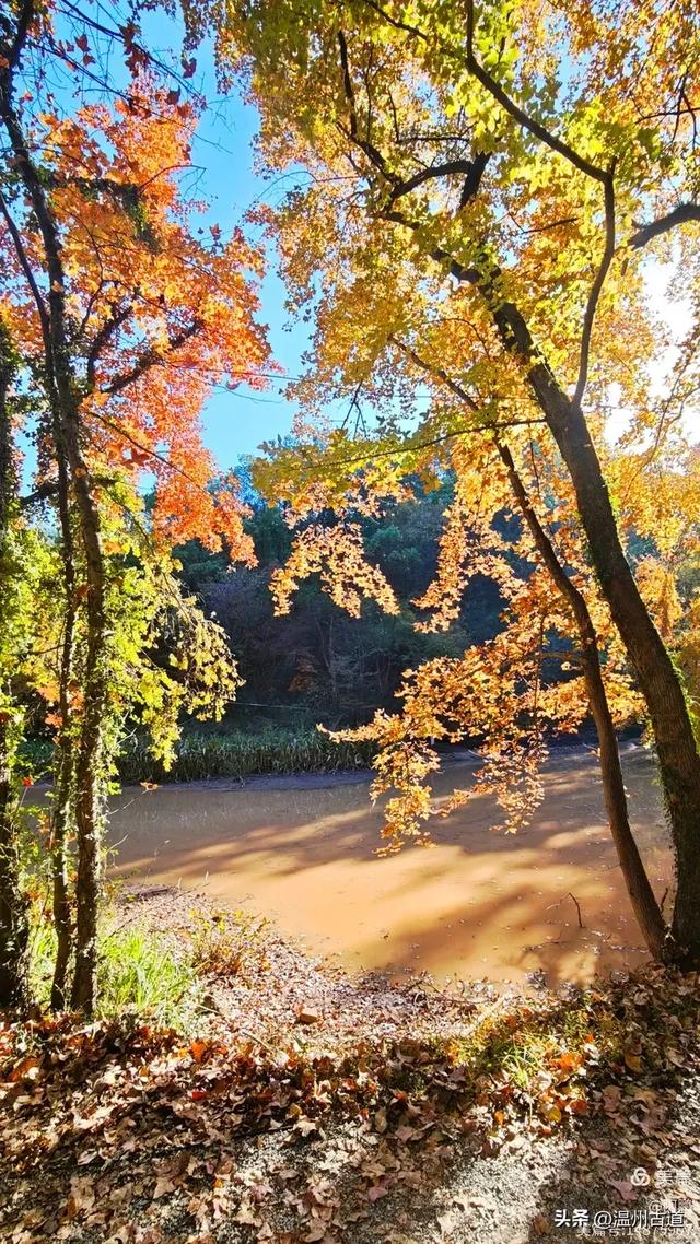 秋染浙西，邂逅烂柯仙境的绝美风光！