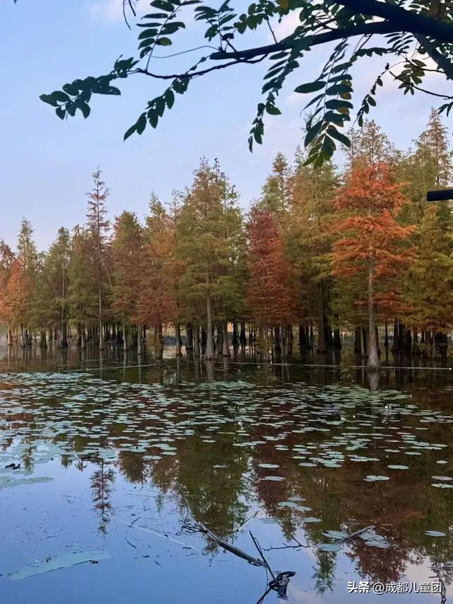 成都公园地图丨晒太阳不打挤的20个公园,东南西北全覆盖