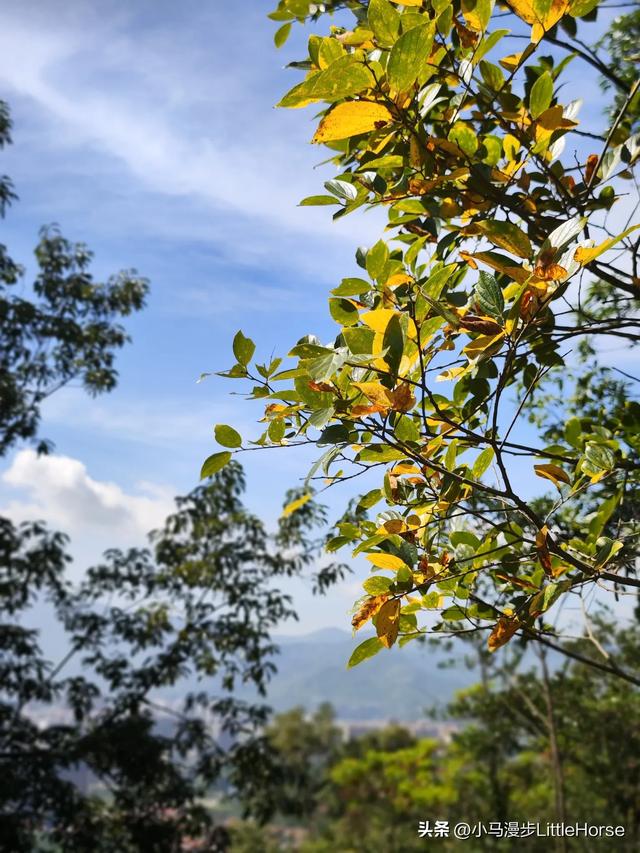 石室寻幽:岁月登山路,初心向云台