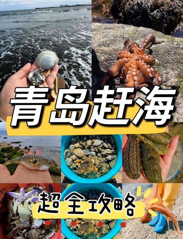 中小学春秋假来了！去哪秋游呢？推荐5个宝藏打卡地