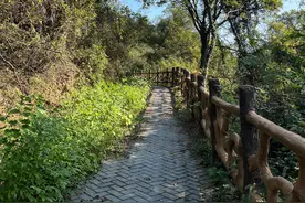 江夏八分山徒步，12公里环形路线，免费停车场图片