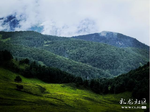 昆明有个阿勒泰