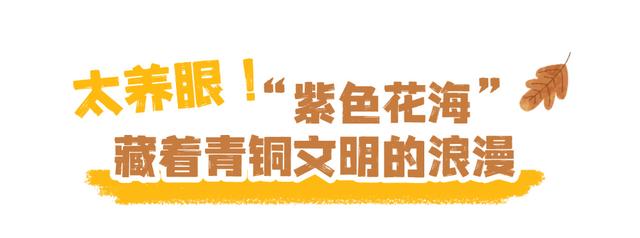全程刷屏！铜绿山这场直播太上头