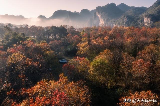 七言诗 八月风光醉我心