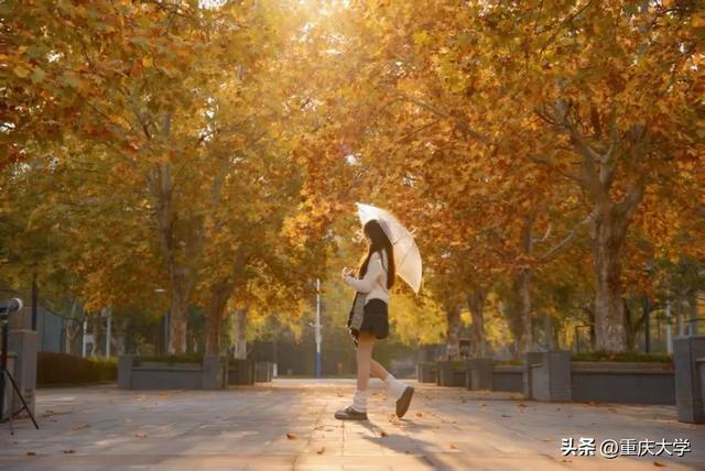 重大限定皮肤上新，超出片！🤳