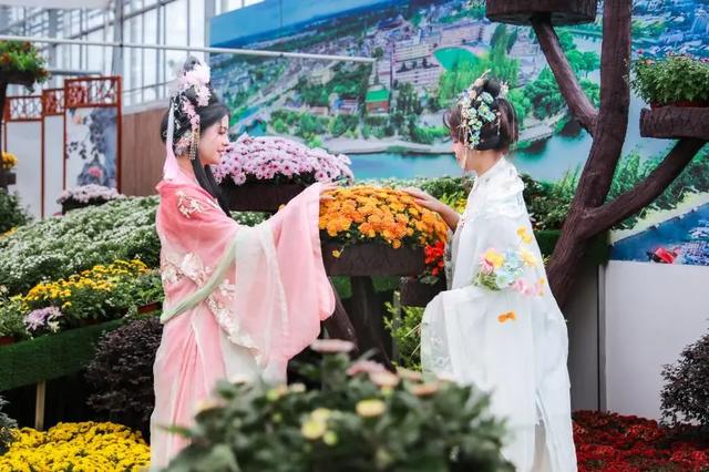 热度持续飙升!全椒这里精彩还在继续→