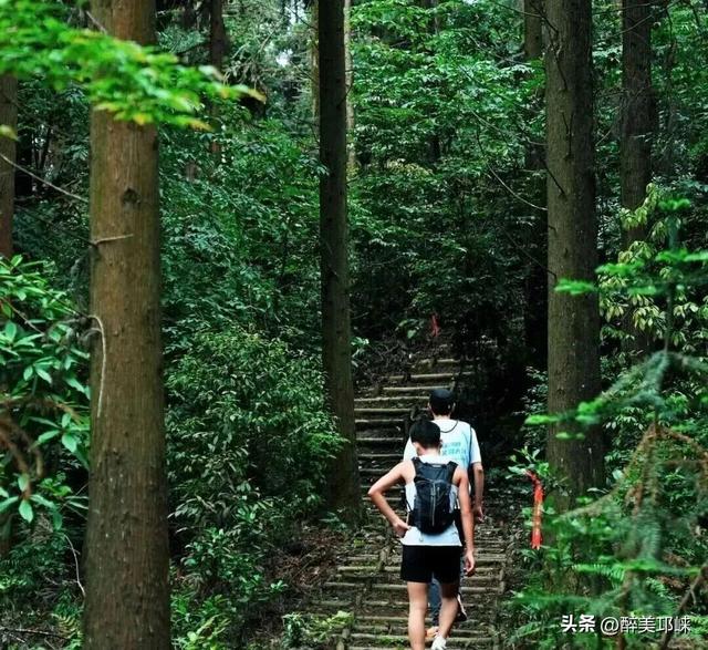 崃户外丨邛崃这条用原木碎石铺成的徒步线，藏着南丝路的秘密