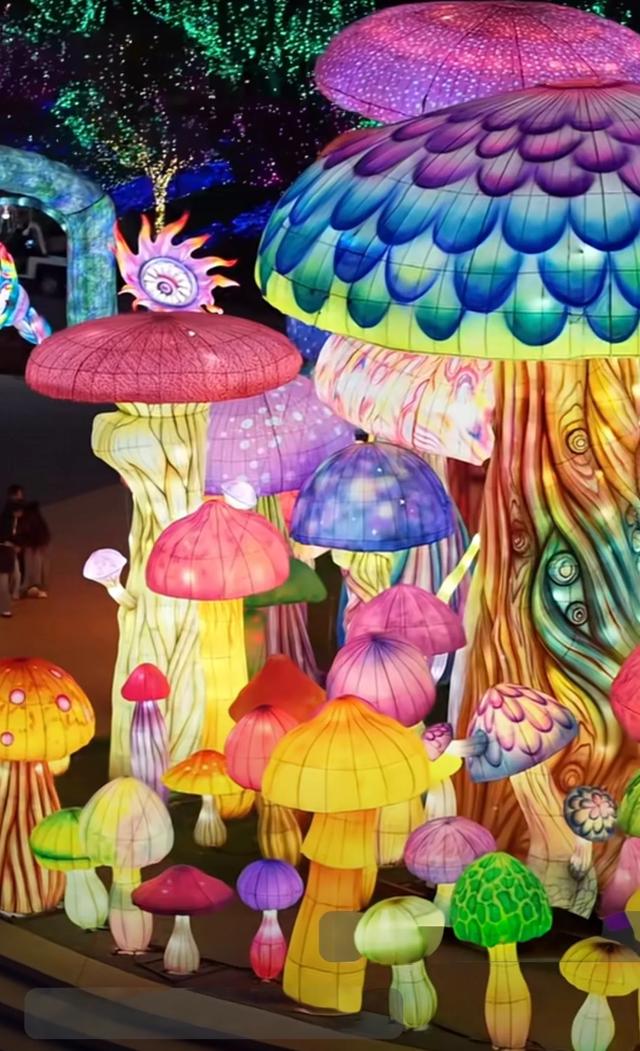 白天吃蘑菇大餐🍄,晚上看大观公园旁的蘑菇灯海