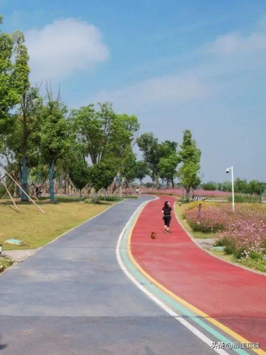 聆听邛崃丨活力邛崃：当自然画卷遇见运动诗篇