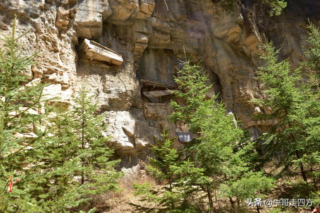 山西宁武石门悬棺：万仞崖龛藏古柩、千年石棺映翠岚