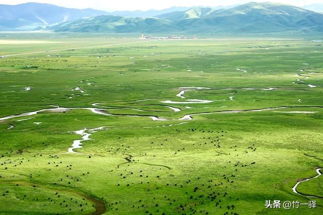 西藏嘎朗湿地：藏东南的隐秘莲花
