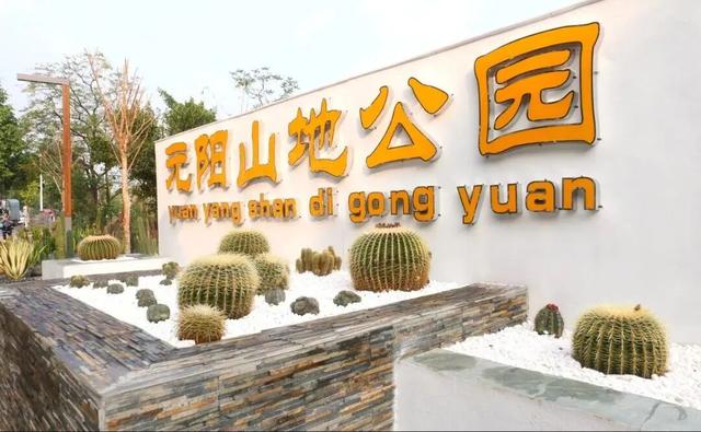 20℃+！出发，去元阳过冬🤩