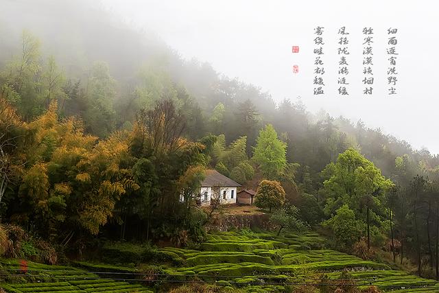 烟雨大别山，醉美望天村