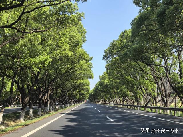 一趟宜兴揽云谷,惊见国道也收费