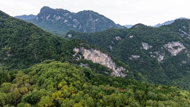 守护生态秘境——走进徽县三滩森林公园