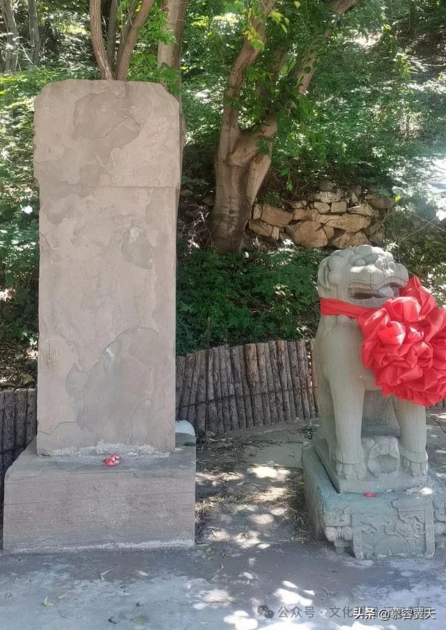清代的禁止乱砍滥伐石碑