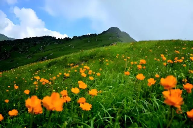 山风拂心处，朝台即修行​--山西五台山大朝台有感！