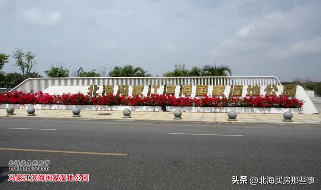 逐个数一数北海现在颇有名气的越冬旅居“候鸟乐园”