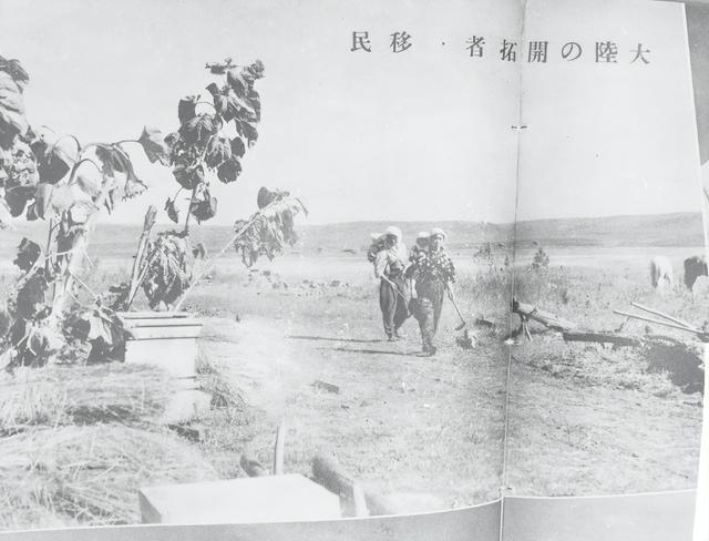 200万比1.3 亿：日本侨民再多，也成不了民族，因为根是抢来的！