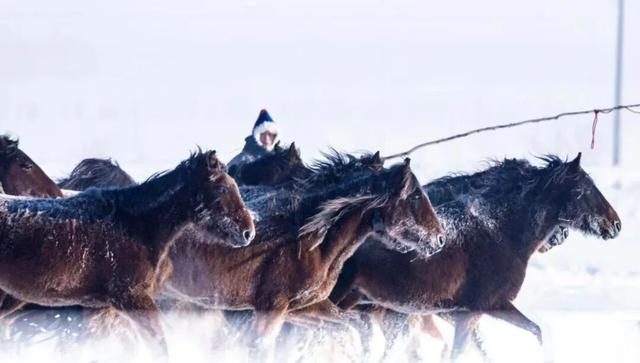 新巴尔虎左旗冬季牧户游 解锁银色呼伦贝尔！