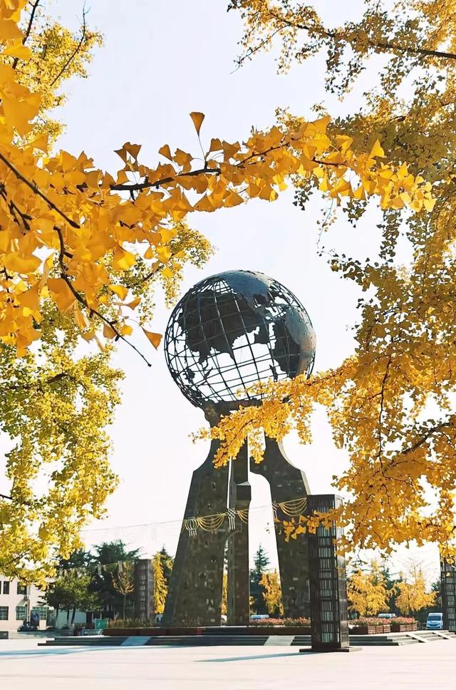 此刻的临沂，把清欢藏进风景里