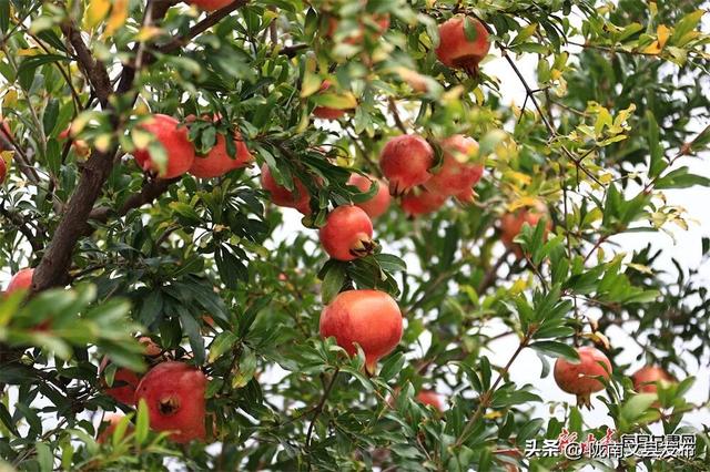 【节气里的大美中国·多彩甘肃】秋分