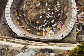 吓人！泉州一墓地惊现50斤巨蟒！抓捕视频太惊险图片