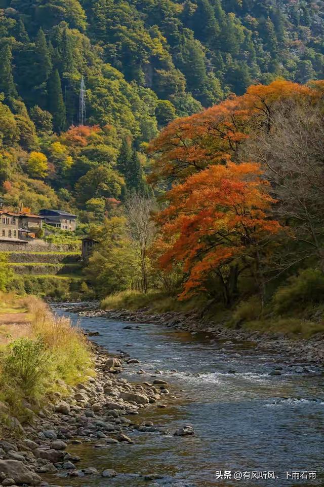 秋染山河
