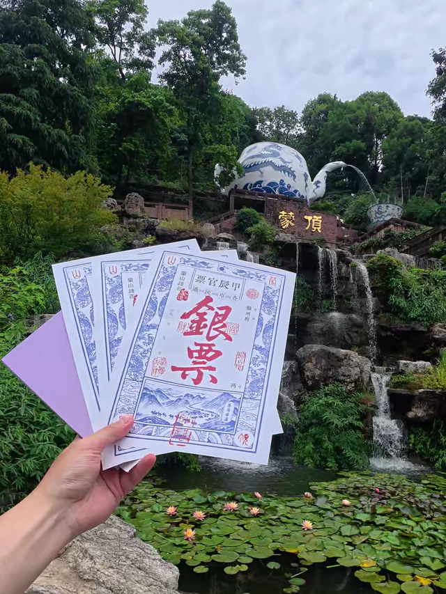 黄了！成都出发1.5h刹拢赏秋秘境，茶海风光无敌，银杏美了上千年！