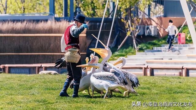 2025年度盘点（旅游篇）：新质生产力赋能全国滨海旅游目的地建设