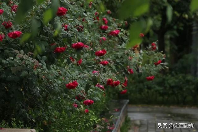 在卧龙湾水镇，听一场秋天的雨~