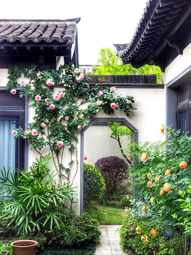 人到晚年！最好的归宿	，是一方院子