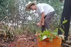 大学第一天，唐尚珺与校领导谈笑自若，室友们压力山大，不想曝光图片