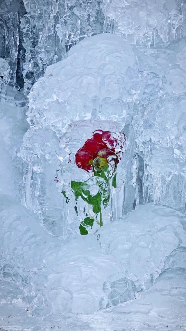 航小天带你看长安 | 晴雪染峰 冬韵天成