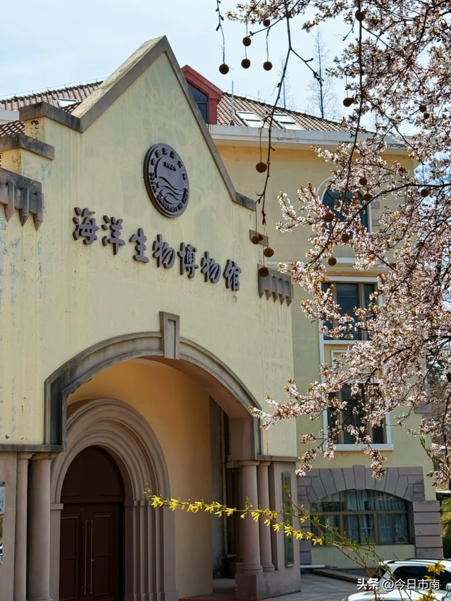 来市南，看虎界“刘亦菲”！与“神奇动物”零距离～