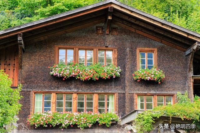 欧游杂记（3）‖ 乘“黄金列车”到因特拉肯：大美瑞士风光之旅