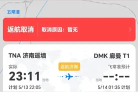 一航班遭鸟击紧急返航？乘客：起飞后不久听见巨响，机身还有抖动图片