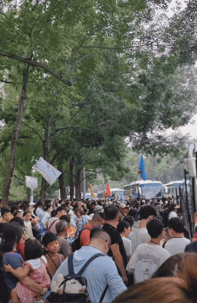 刚从北京回来，能劝一个是一个……